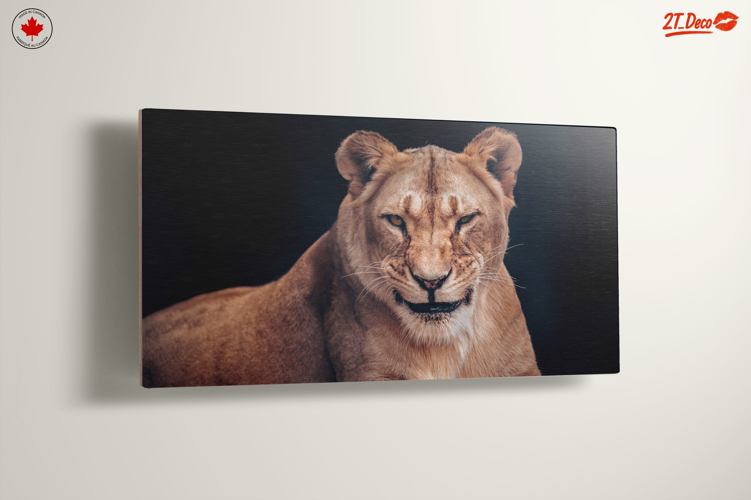 Majestic Lioness Wall Art 2 - Image 13