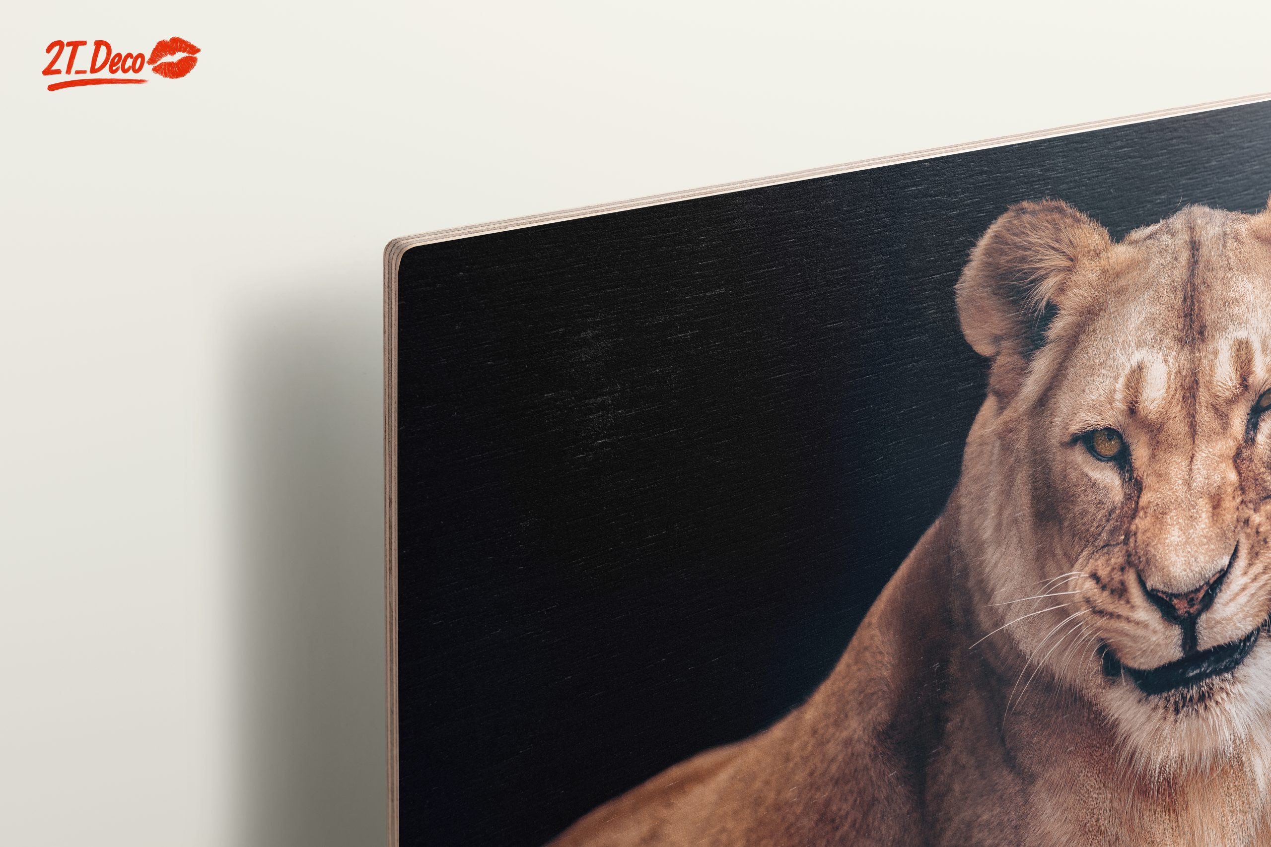Majestic Lioness Wall Art 2 - Image 15