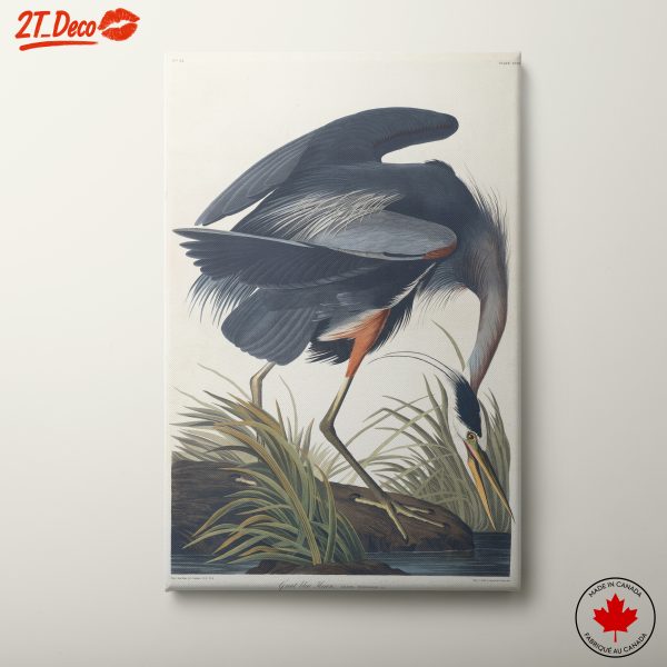 Great Blue Heron Art Illustration