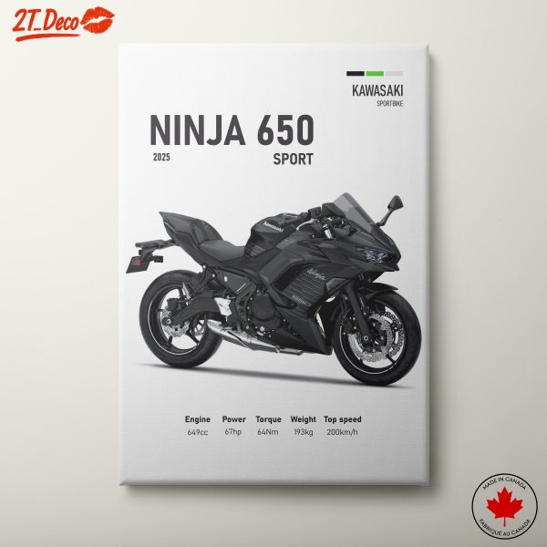 Sleek Kawasaki Ninja 650 Sport Motorcycle