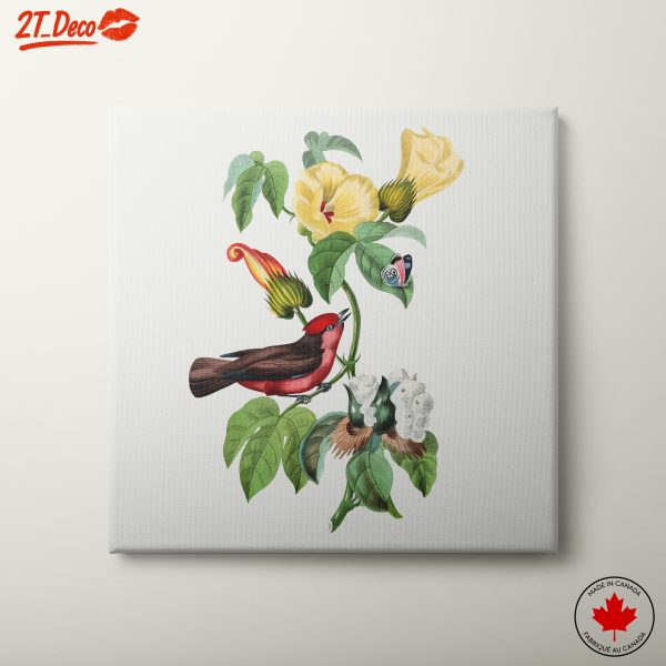 Bird and Botanical Elements Art