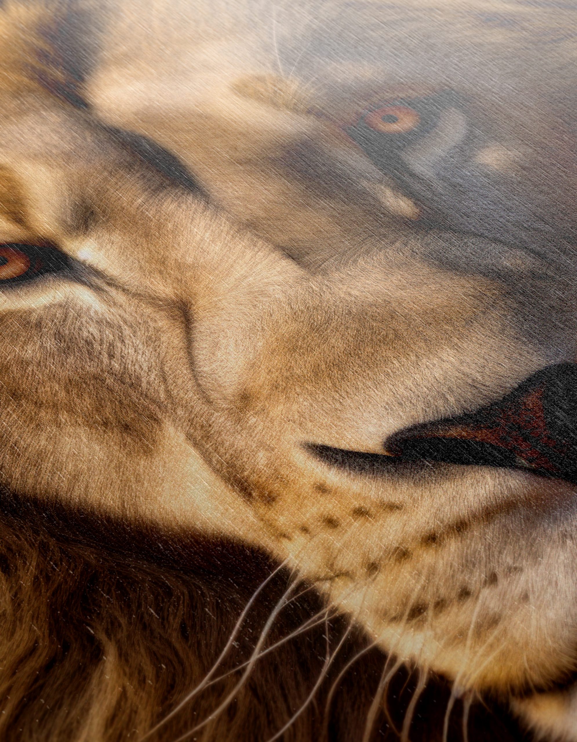 Majestic Lion Portrait for Home Decor - Image 12