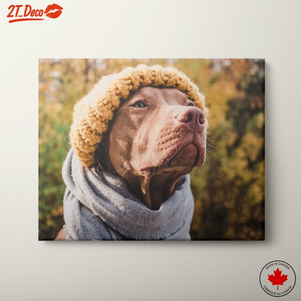 Stylish Dog Portrait in Fall Scarf