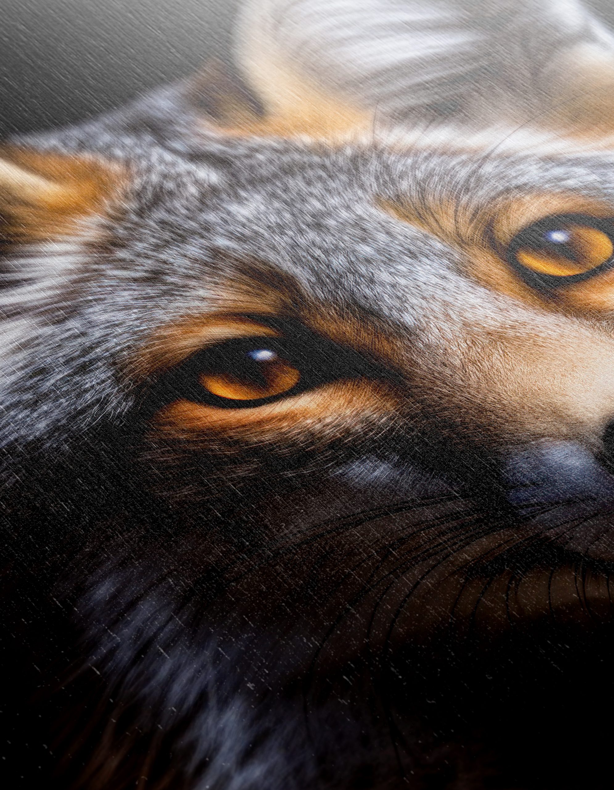 Majestic Fox With Striking Eyes - Image 12