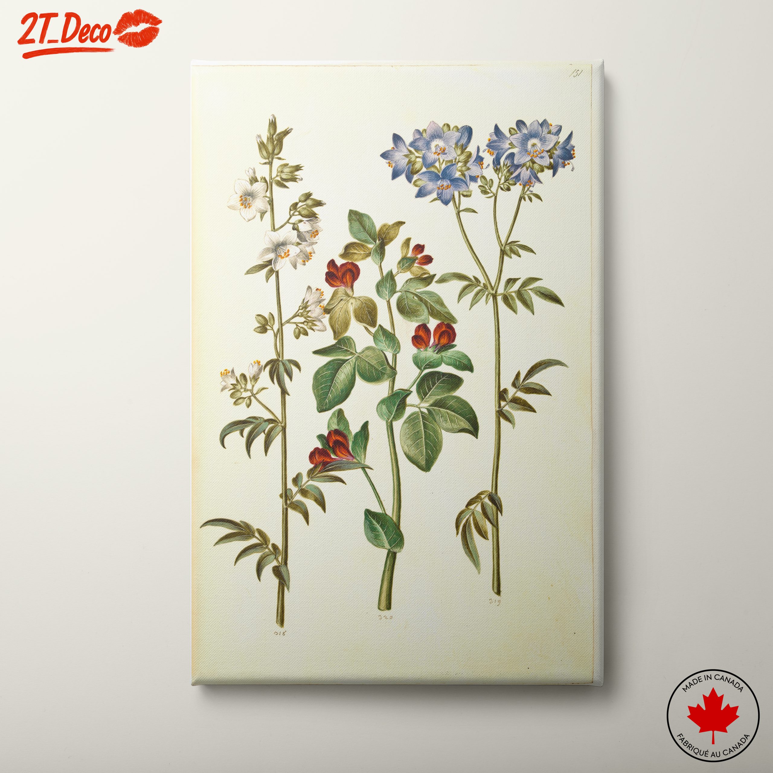 Beautiful Botanical Print of Colorful Flowers