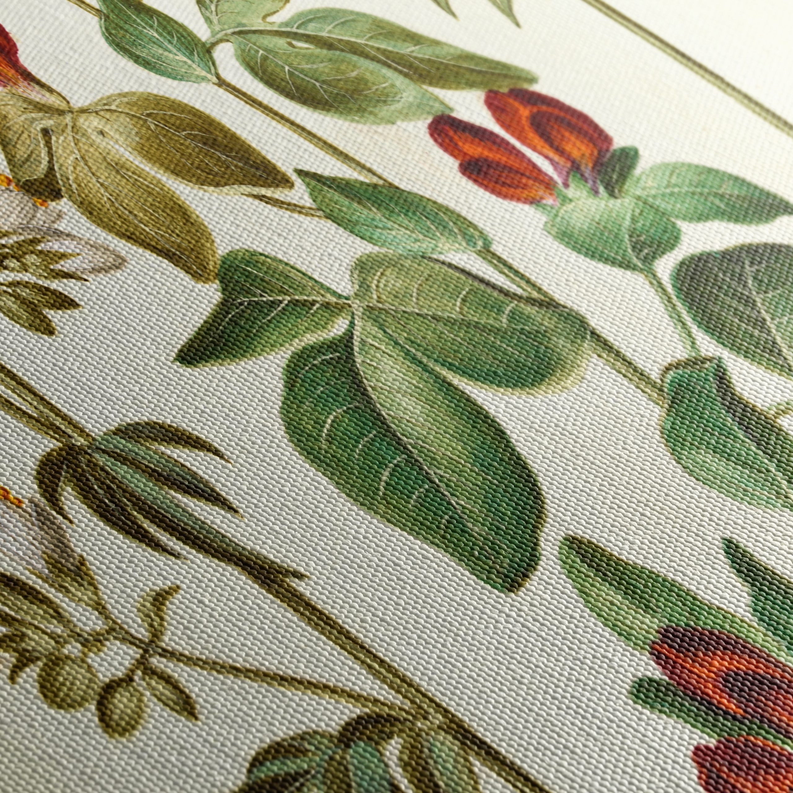 Beautiful Botanical Print of Colorful Flowers - Image 5
