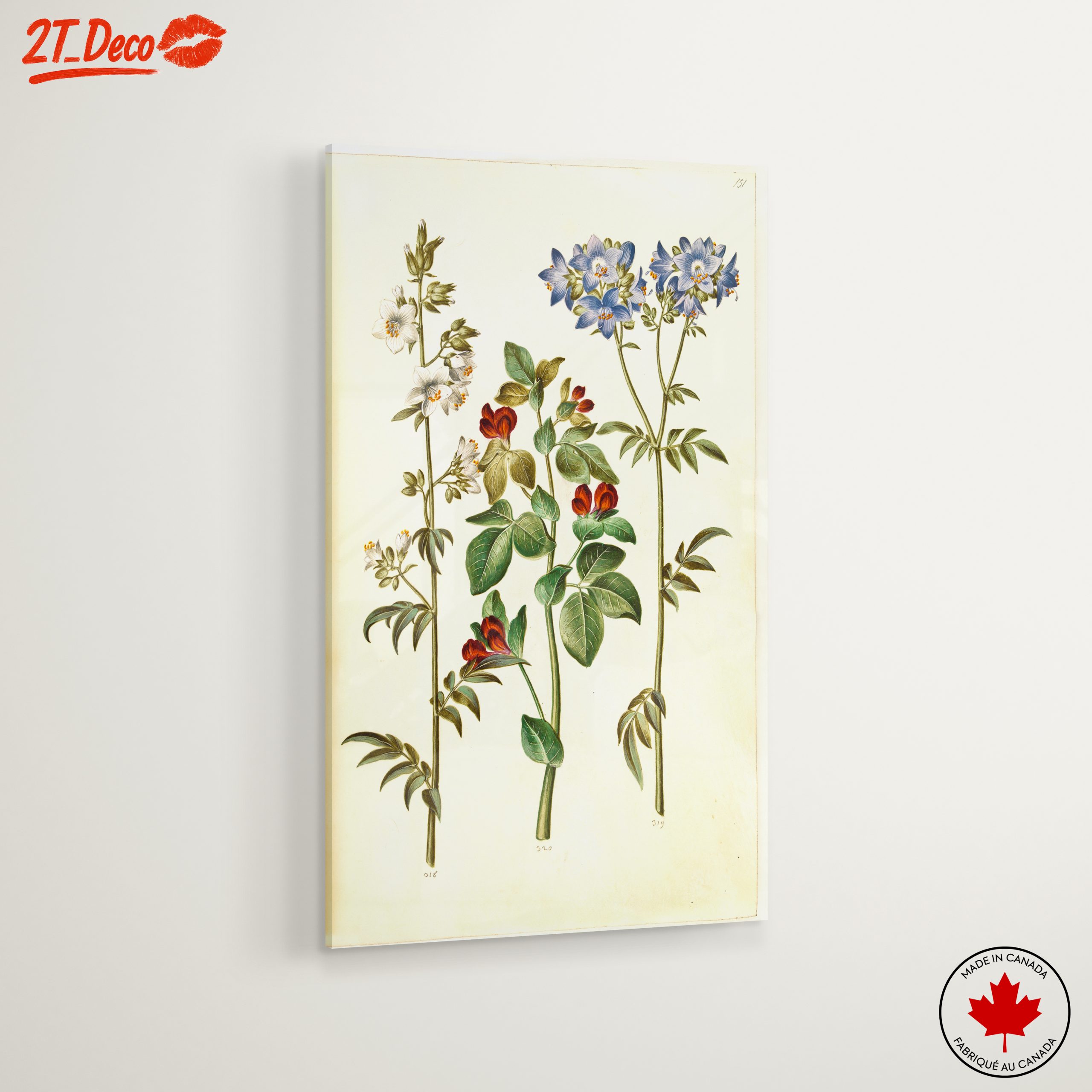 Beautiful Botanical Print of Colorful Flowers - Image 6