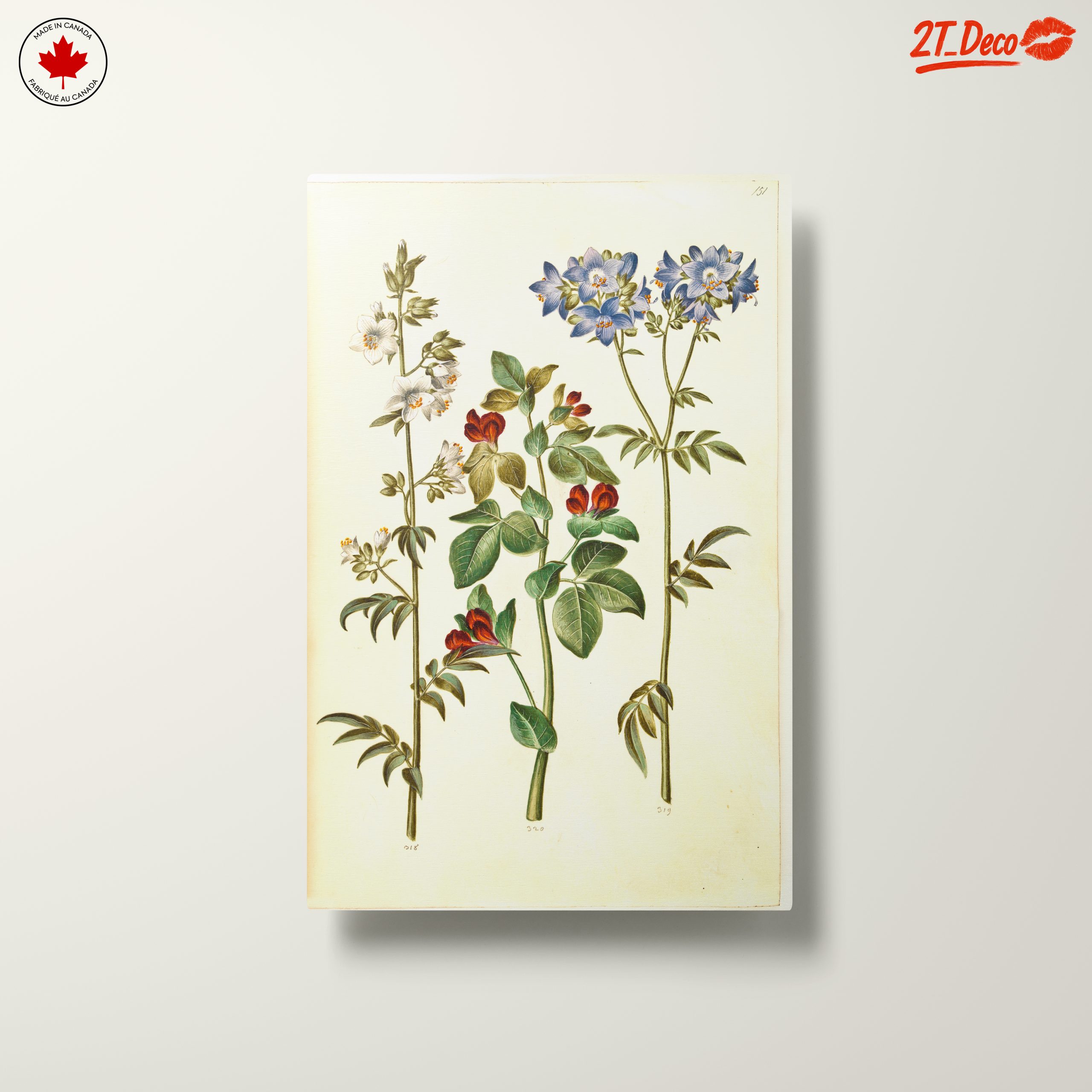 Beautiful Botanical Print of Colorful Flowers - Image 10