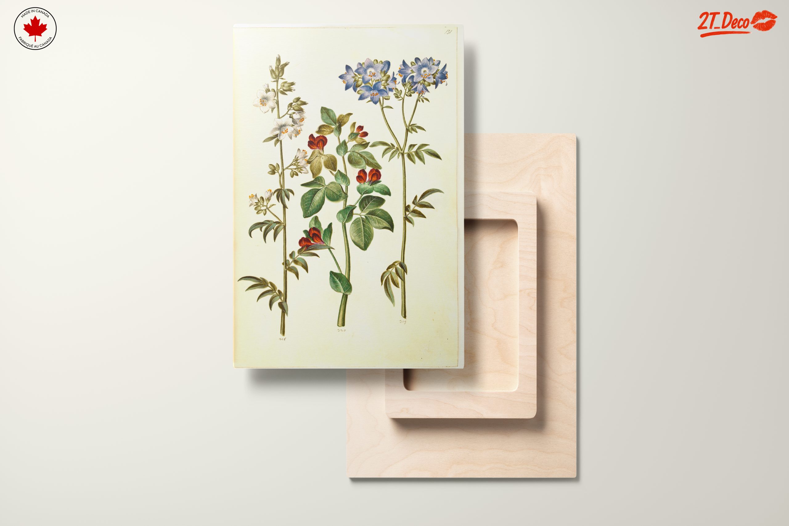 Beautiful Botanical Print of Colorful Flowers - Image 11