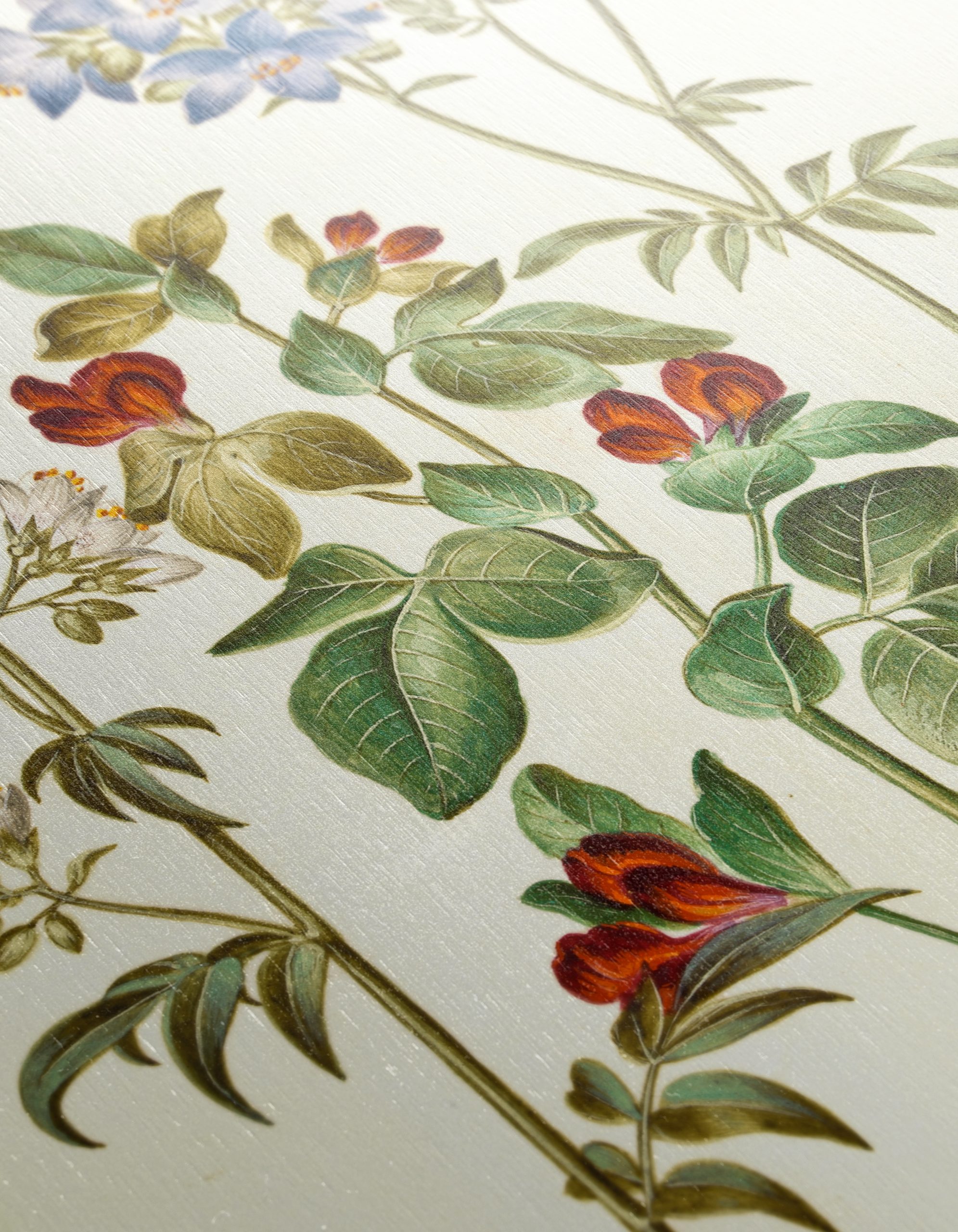 Beautiful Botanical Print of Colorful Flowers - Image 12