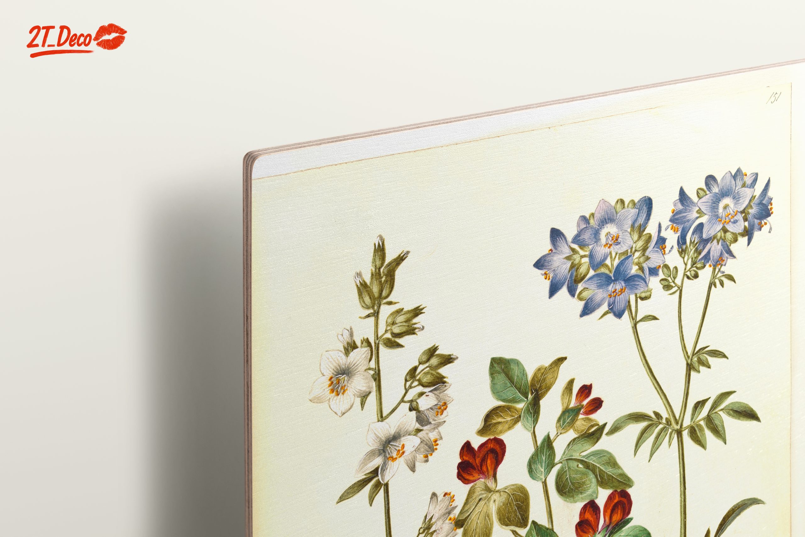 Beautiful Botanical Print of Colorful Flowers - Image 15