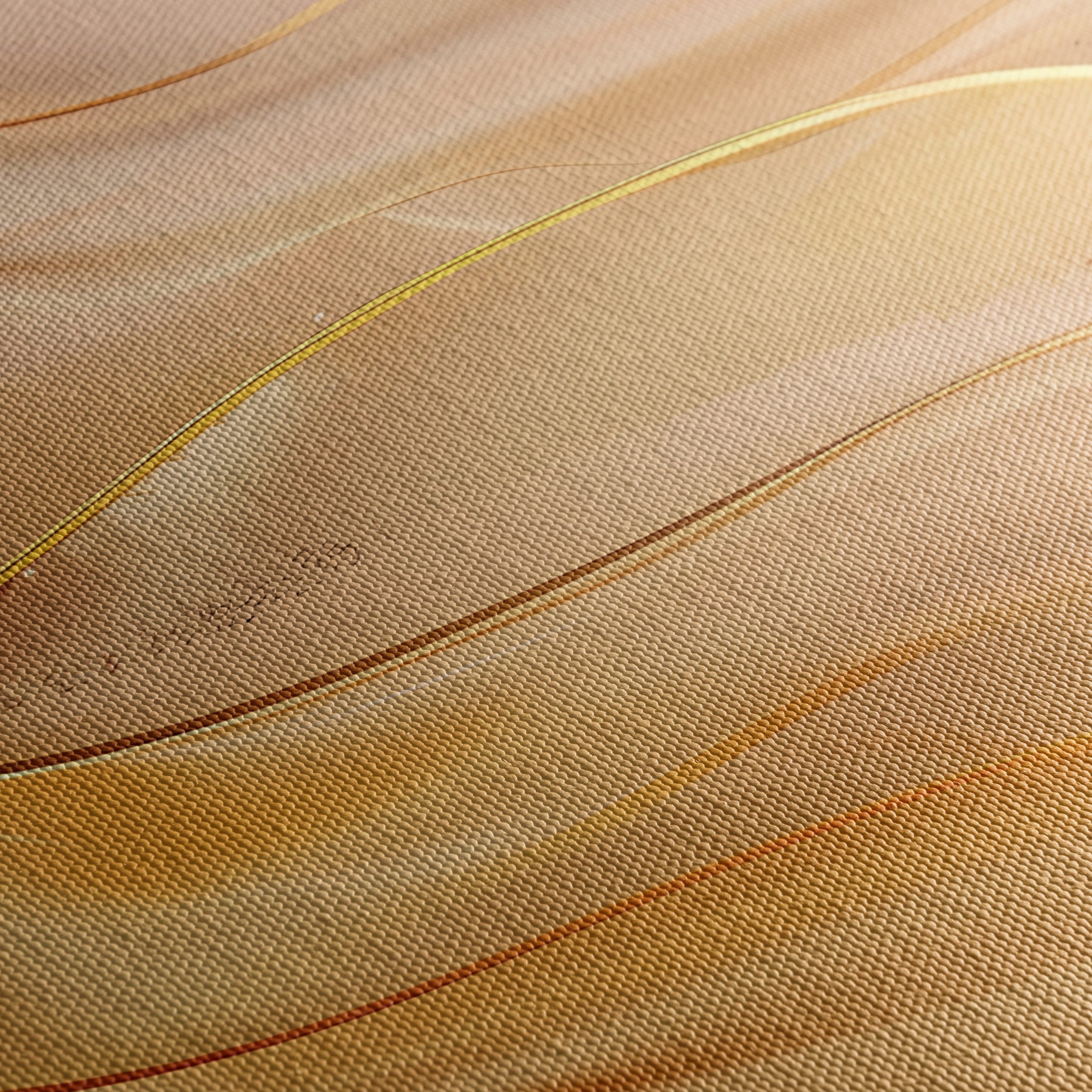 Elegant Abstract Waves in Warm Tones - Image 5