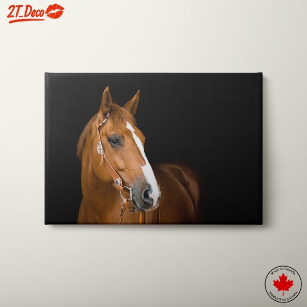 Realistic Horse Portrait in Dark Background