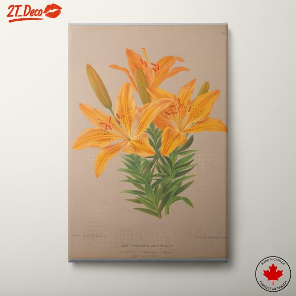 Vibrant Yellow Lily Botanical Art