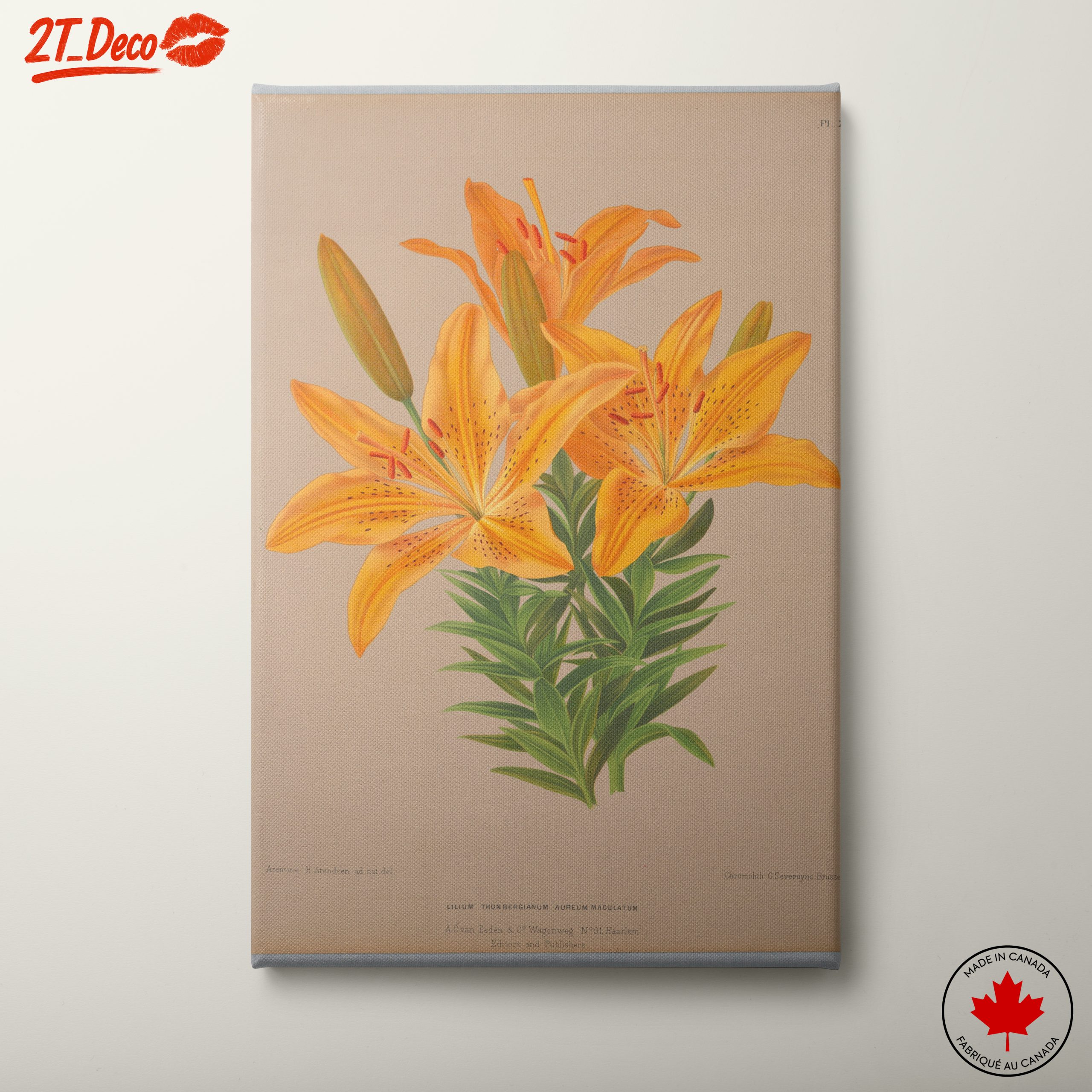 Vibrant Yellow Lily Botanical Art