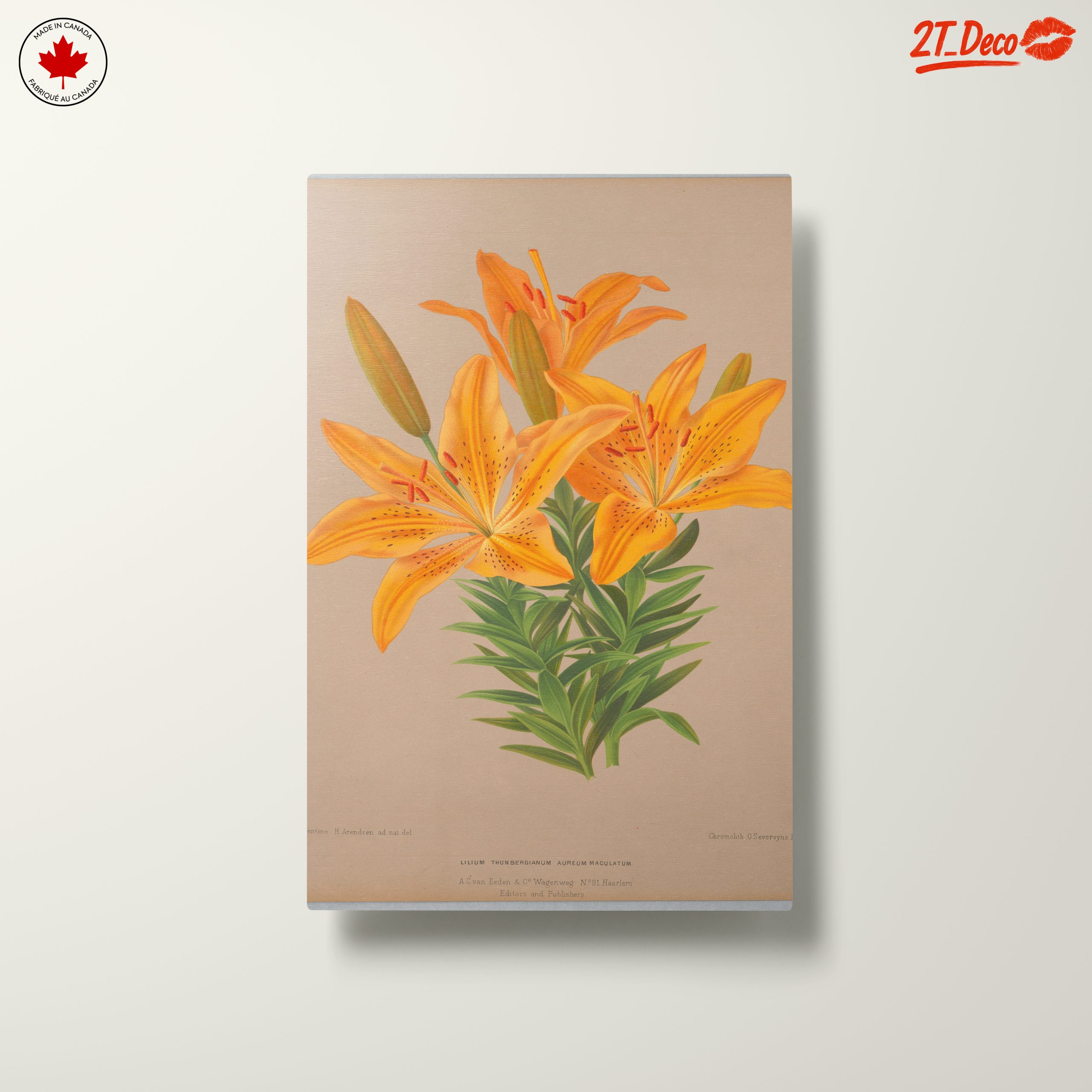 Vibrant Yellow Lily Botanical Art - Image 10
