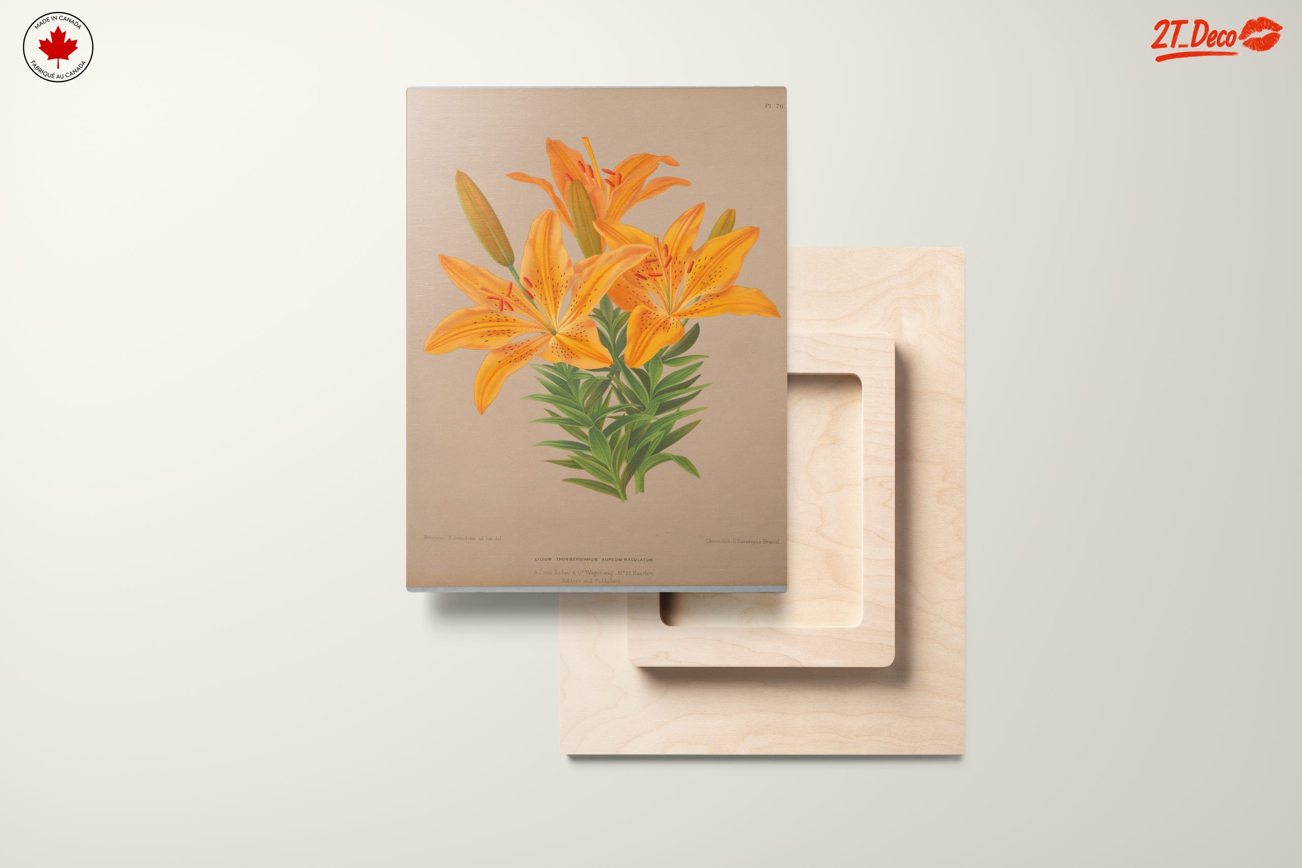 Vibrant Yellow Lily Botanical Art - Image 11