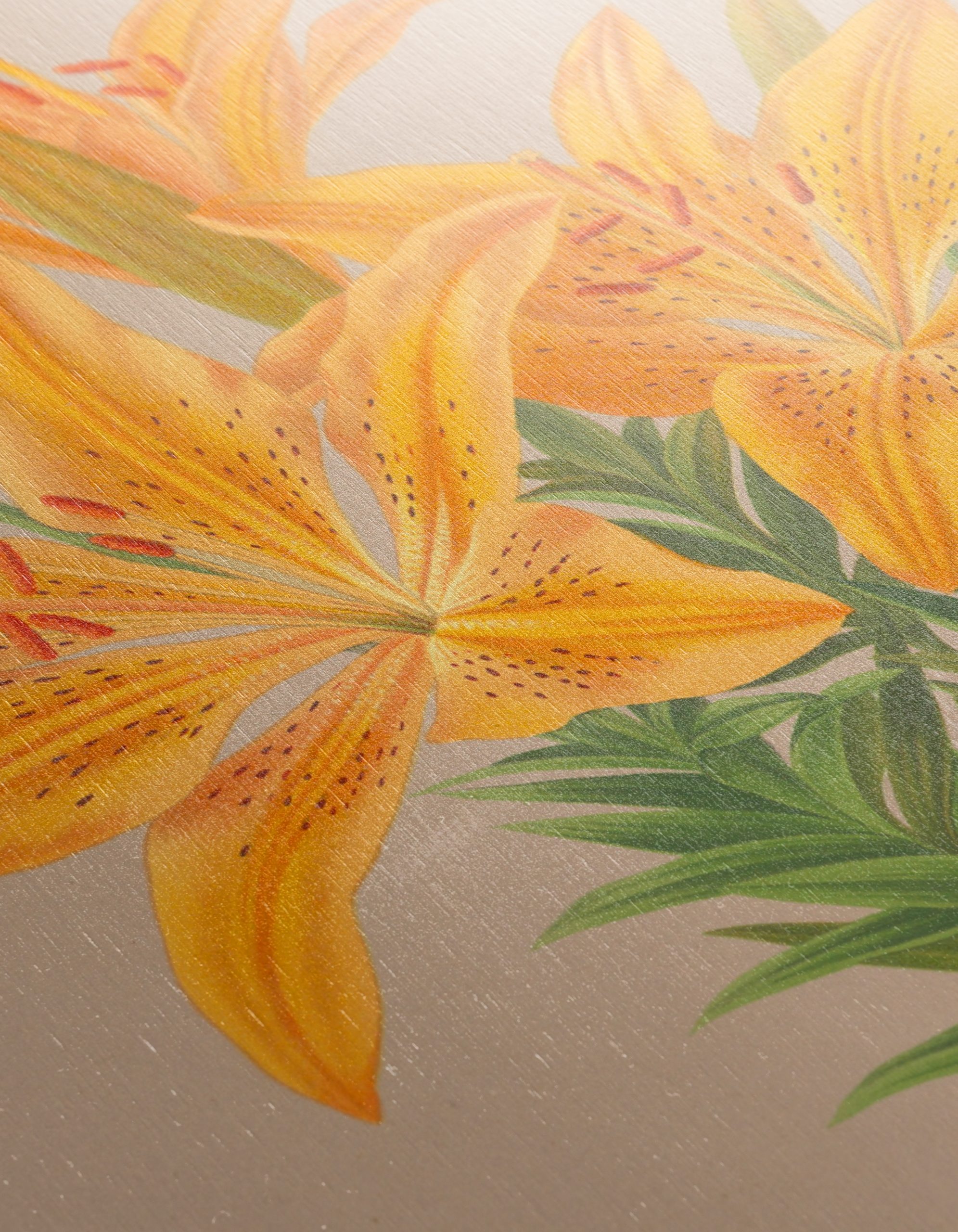 Vibrant Yellow Lily Botanical Art - Image 12