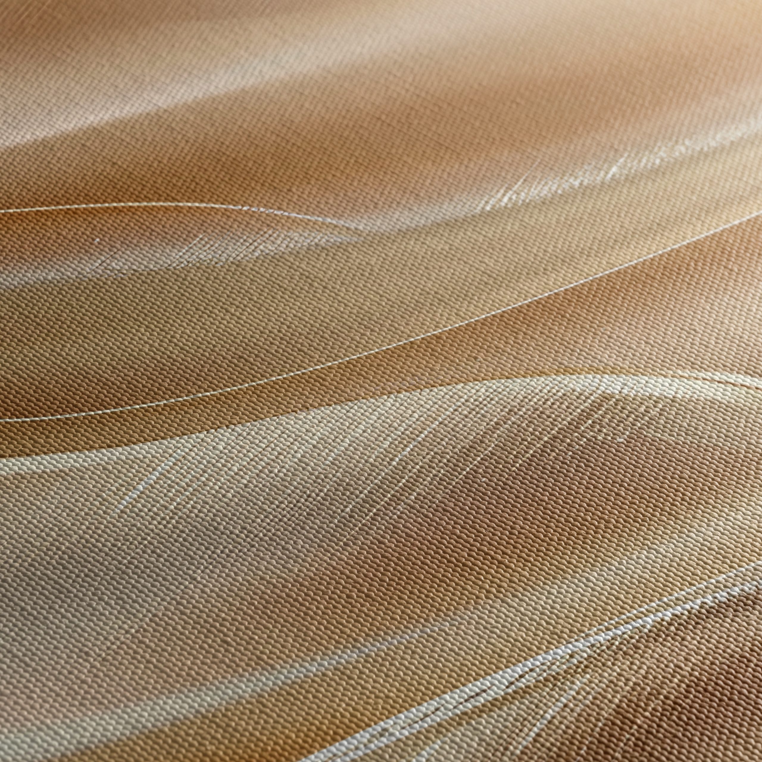 Elegant Fluid Abstract Art for Modern Spaces - Image 5
