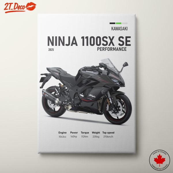 Kawasaki Ninja 1100SX SE Motorcycle Performance