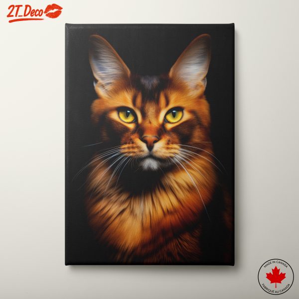 Stunning Maine Coon Cat Portrait