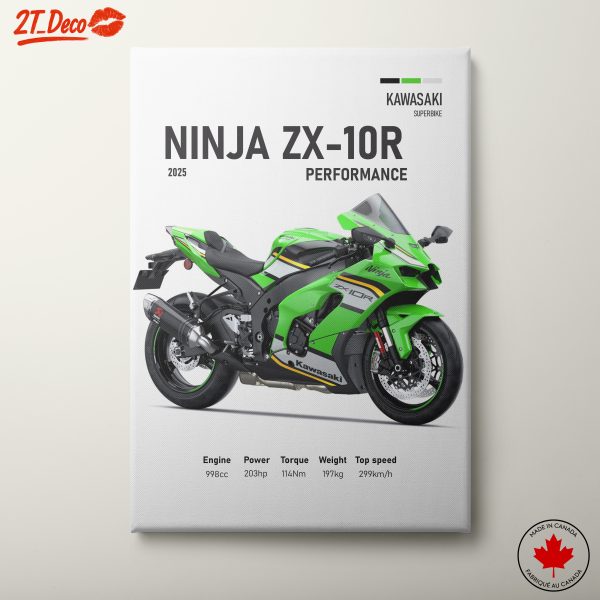 Kawasaki Ninja ZX-10R Superbike Art