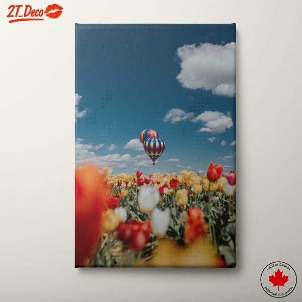 Colorful Hot Air Balloons Over Flower Field