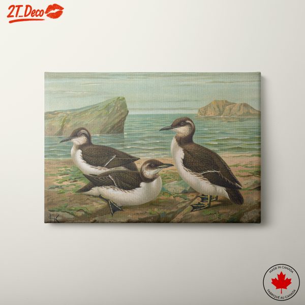 Charming Bird Art by the Shore