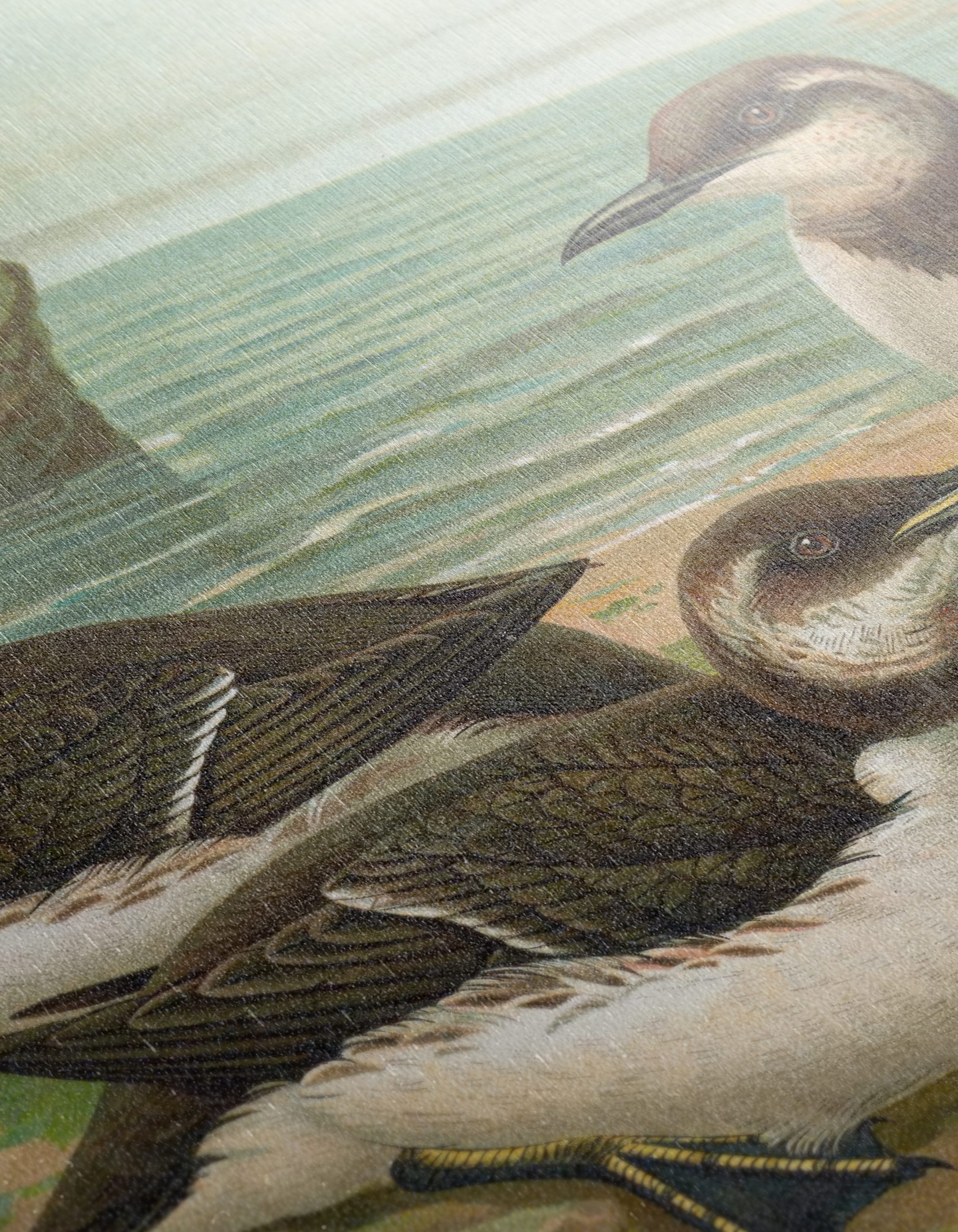 Charming Bird Art by the Shore - Image 12
