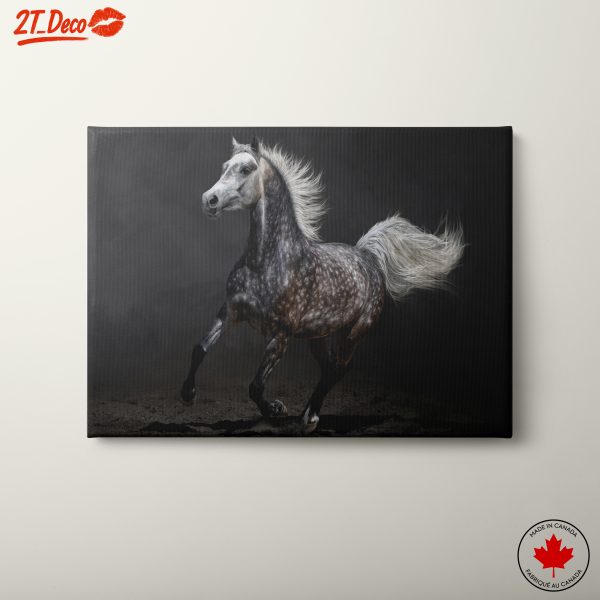 Running Horse Artwork