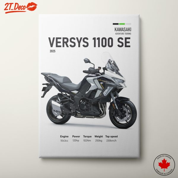 Kawasaki Versys 1100 SE 2025 Motorcycle Art