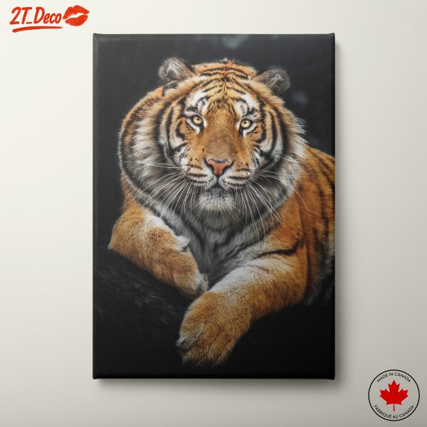 Majestic Tiger Wall Art 5