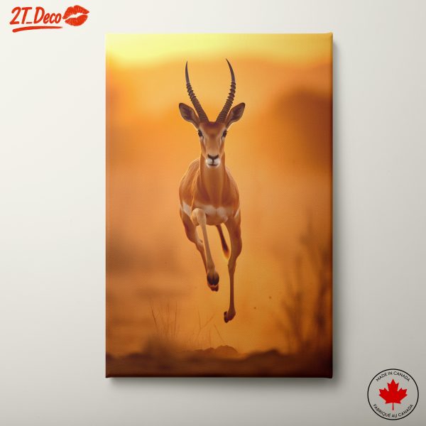 Dynamic Antelope in Warm Sunset