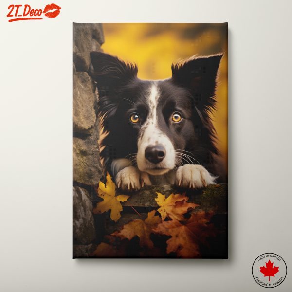 Charming Dog Portrait with Autumn Leaves