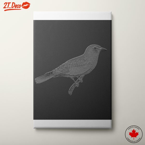 Detailed Bird Illustration on Dark Background