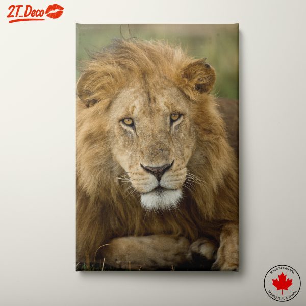 Majestic Lion Wall Art 3
