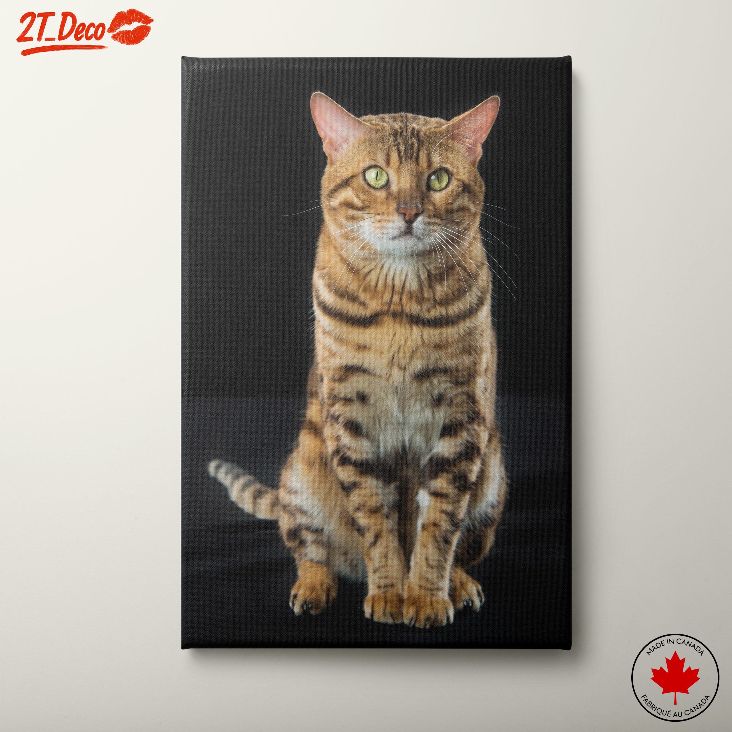 Bengal Cat Portrait