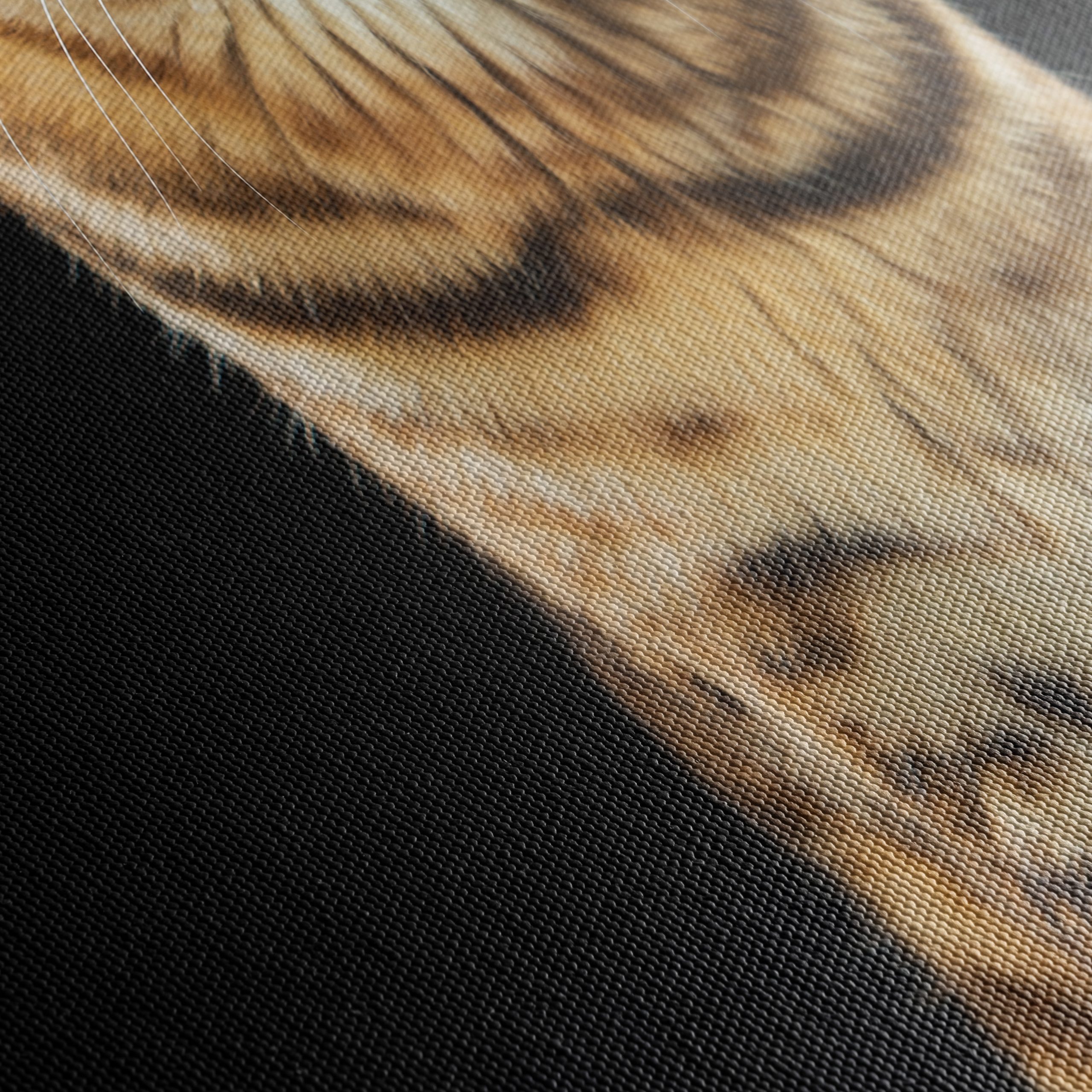 Bengal Cat Portrait - Image 5