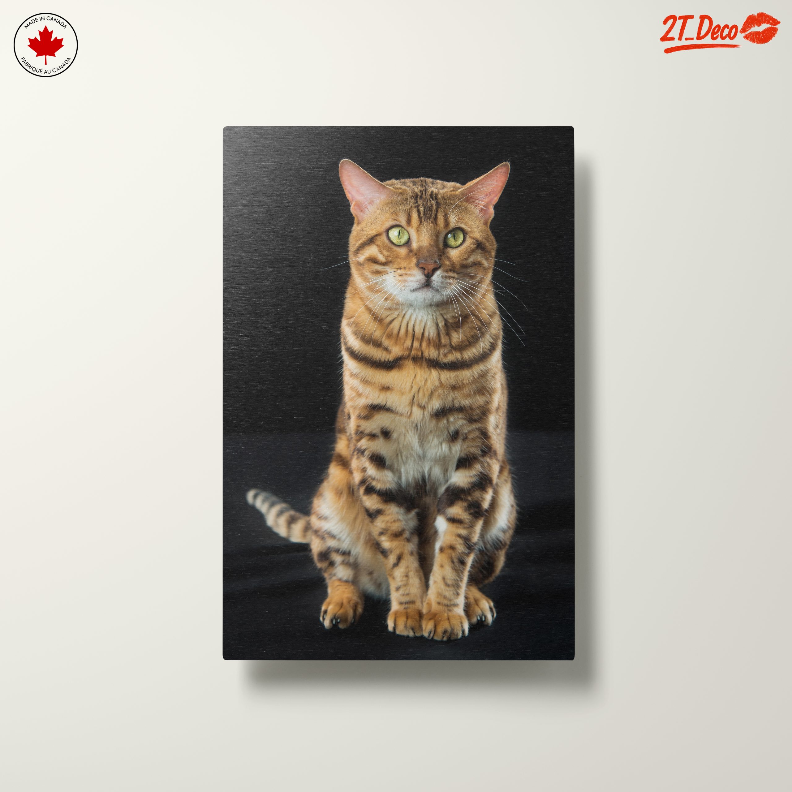 Bengal Cat Portrait - Image 10