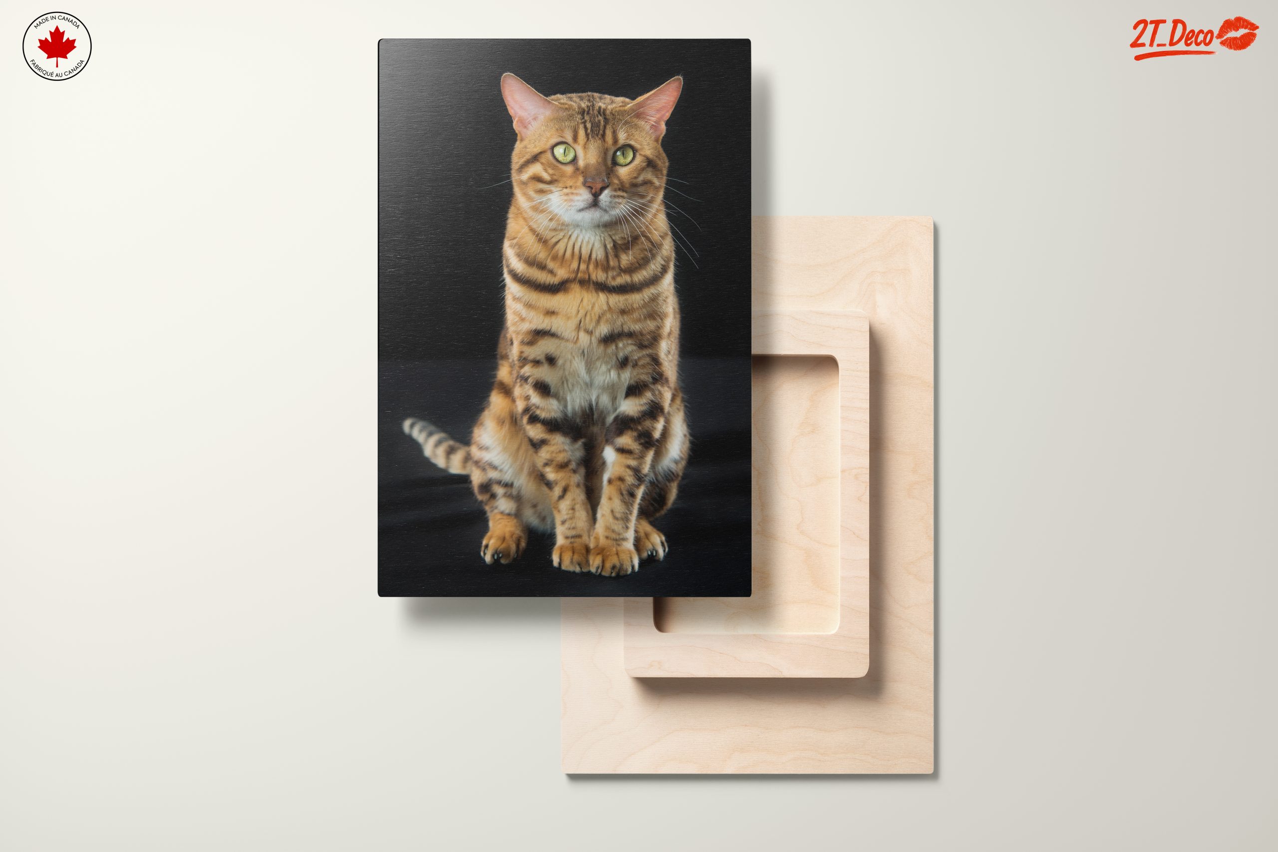 Bengal Cat Portrait - Image 11