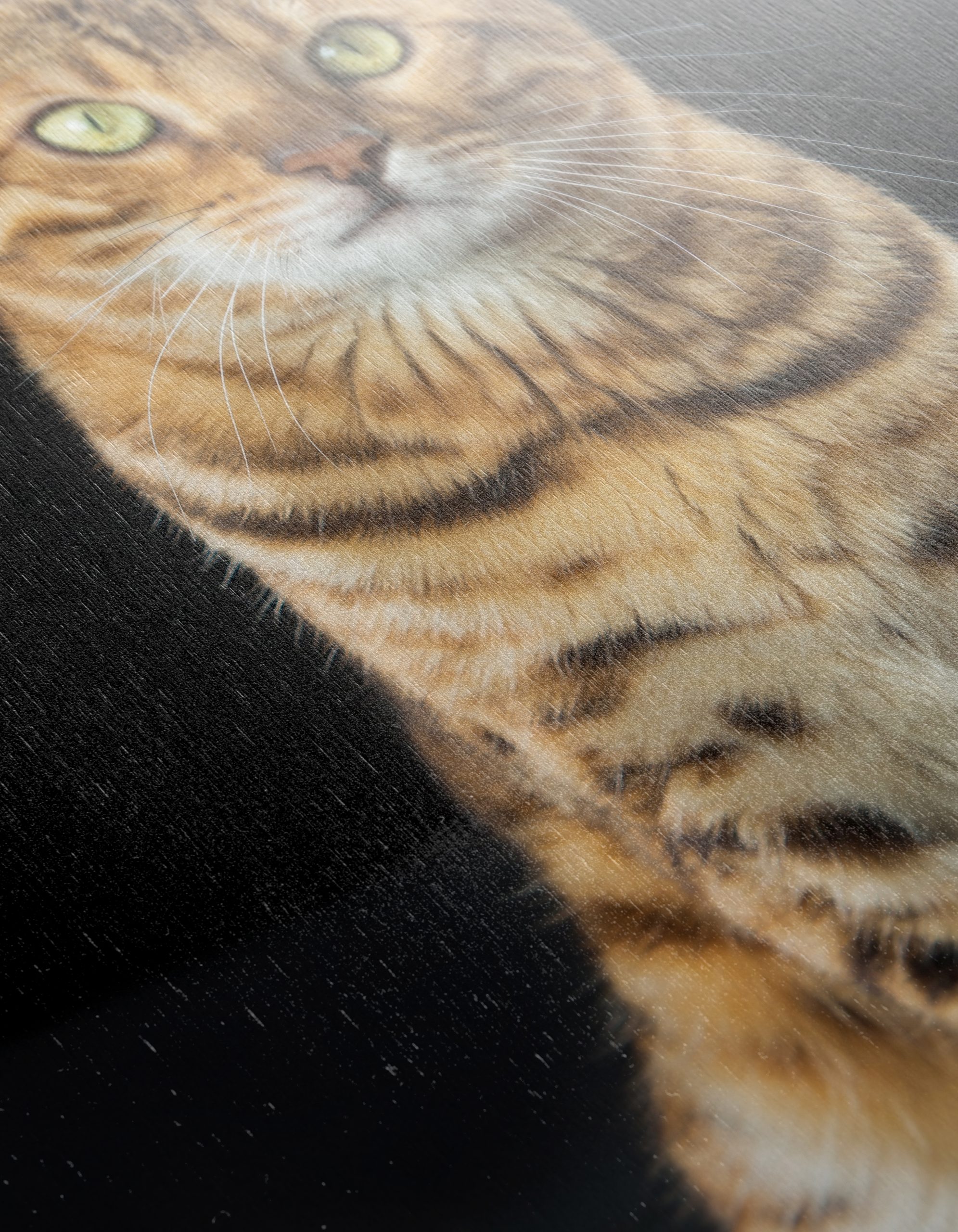 Bengal Cat Portrait - Image 12