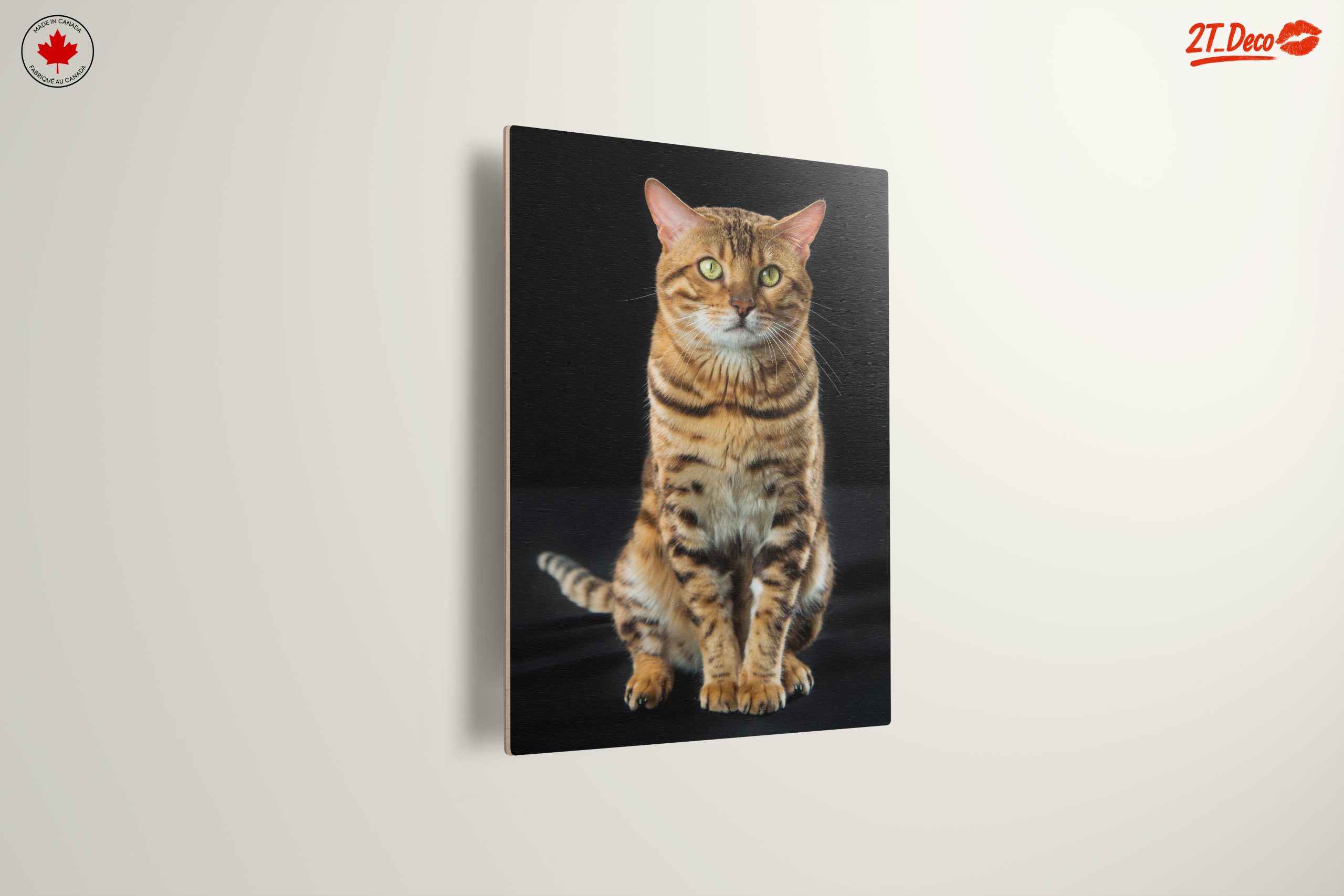 Bengal Cat Portrait - Image 13