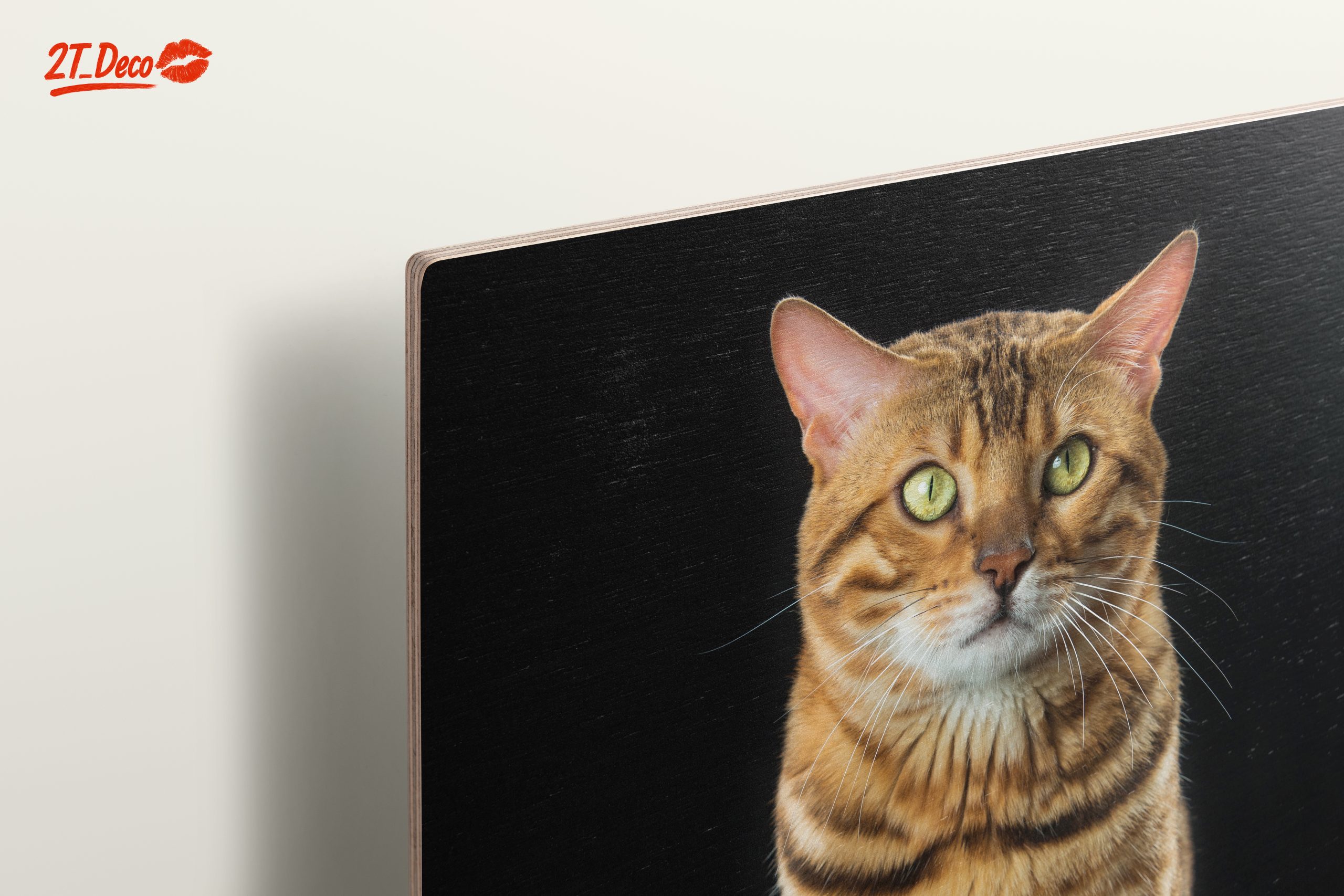 Bengal Cat Portrait - Image 15