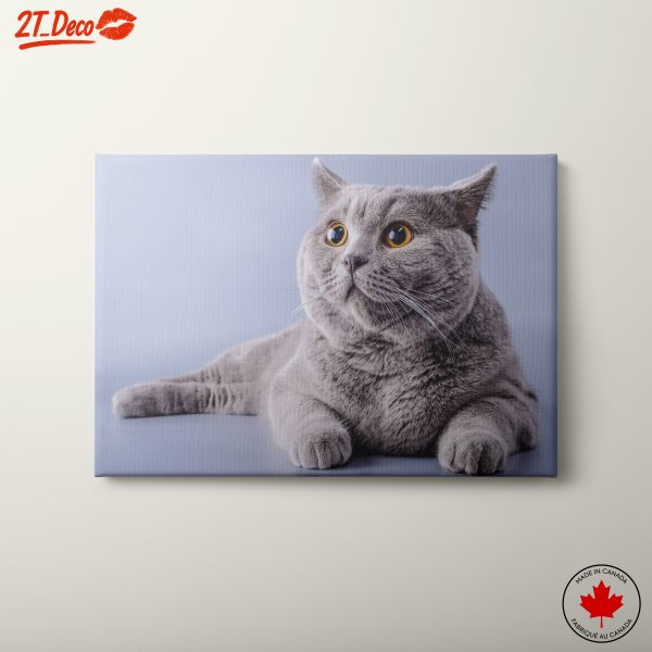 Charming Cat Portrait in Soft Colors