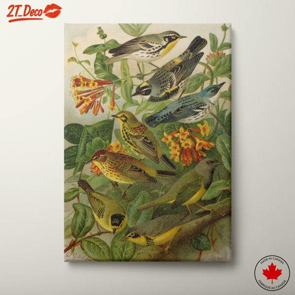 Colorful Birds Among Blossoming Flora