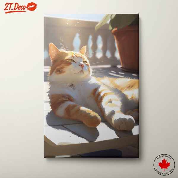 Relaxed Cat Enjoying Sunshine