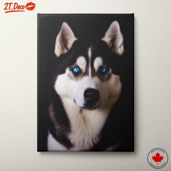 Majestic Siberian Husky Close-Up