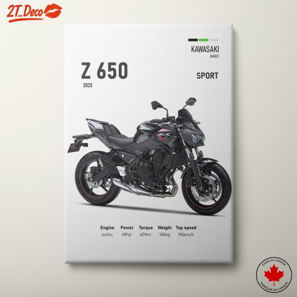 Kawasaki Z 650 Motorcycle Art