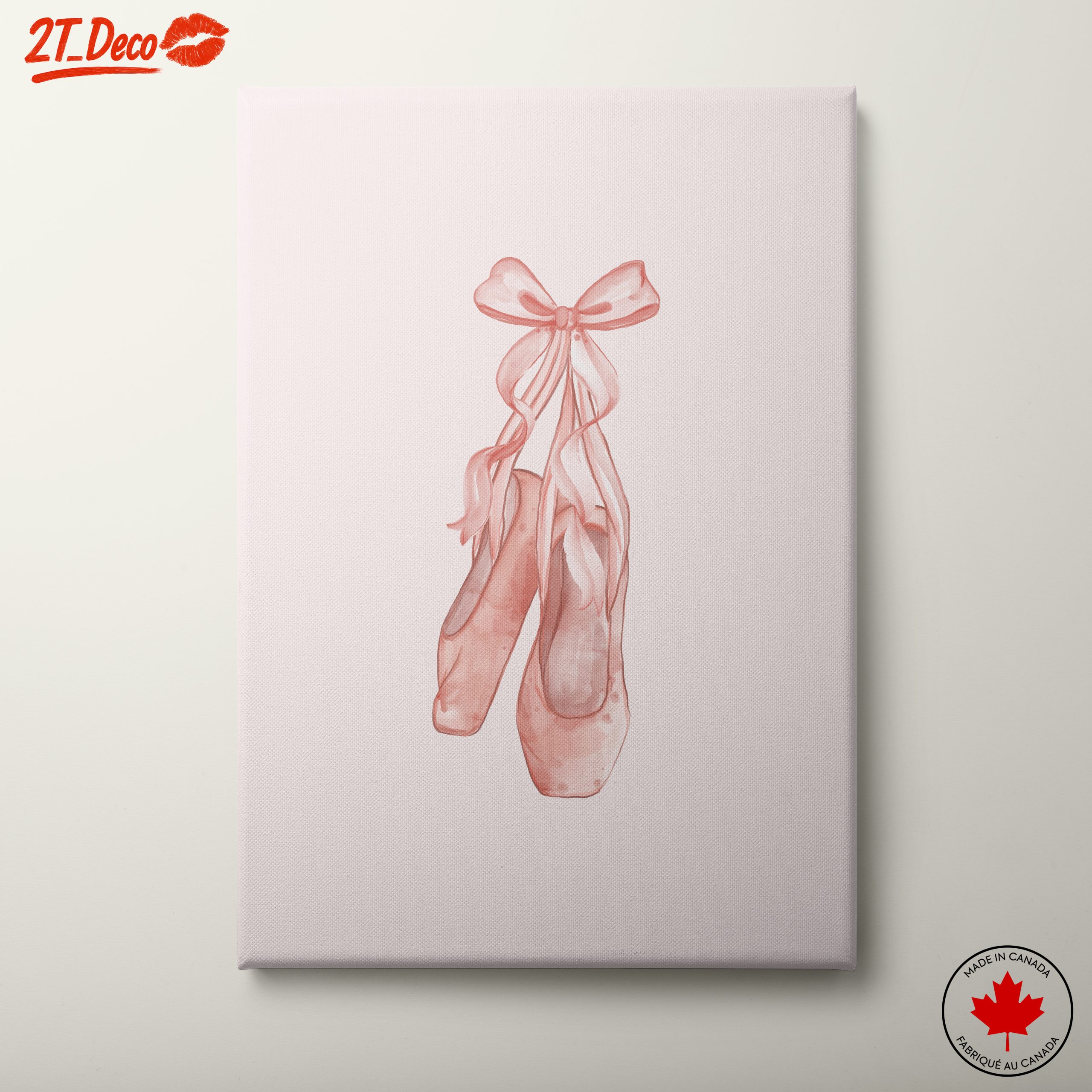 Delicate Ballet Shoes With Ribbon