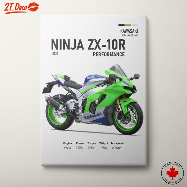 Kawasaki Ninja ZX-10R Performance Design